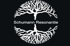 Boom-Schumann-Resonantie